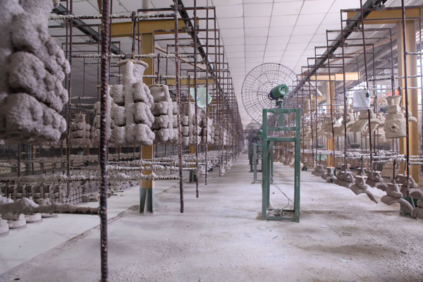 Production Process